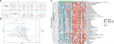 Biological and clinical significance of radiomics features obtained from magnetic resonance imaging preceding pre-carbon ion radiotherapy in prostate cancer based on radiometabolomics